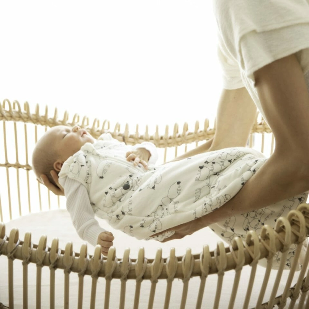 0-6m-ergobaby-klasicna-vrekja-za-spienje-ovca