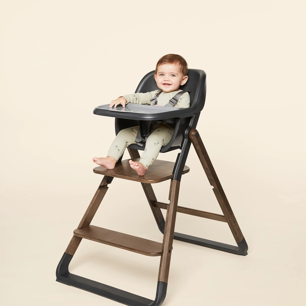 Ergobaby Evolve 3во1 хранилка - Dark Wood