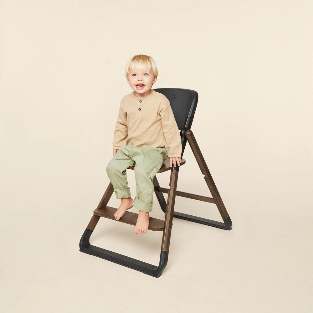 ergobaby-evolve-xranilka-3vo1-dark-wood